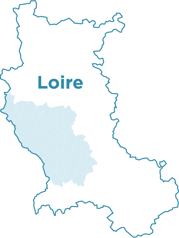 Aperçu du territoire couvert par la CPTS Loire Forez